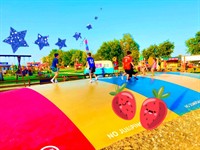 Strawberry Festival at Windy Acres Farm