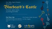 Bluebeard's Castle by Bela Bartok presented by Fox Valley Opera