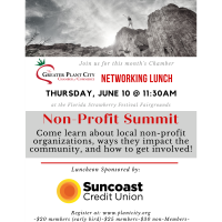 Chamber Networking Lunch