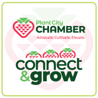 Connect & Grow (Leads Group)