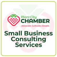 Entrepreneur/Small Business Consulting Services