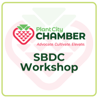 SBDC Workshop
