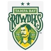 Rowdies Chamber Networking Night