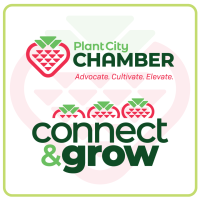 CANCELED - Connect & Grow (Leads Group)