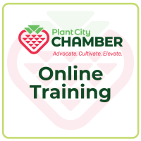 AI Training for Small Business - Online Webinar with Frank Kenny & Norma Davey