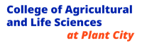 University of Florida at Plant City