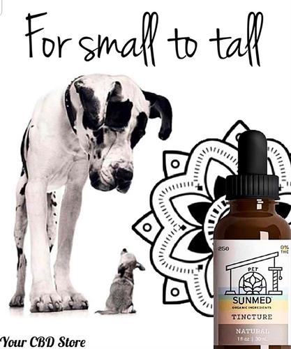tincture for dogs