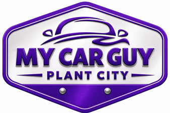MY CAR GUY OF PLANT CITY LLC