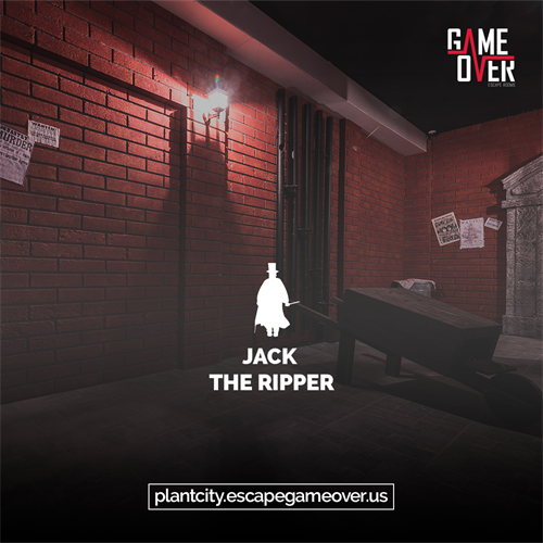 Gallery Image 01.png