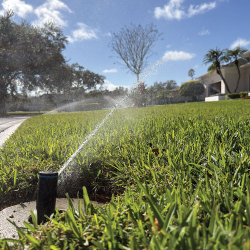 Gallery Image Goterra-15.jpg