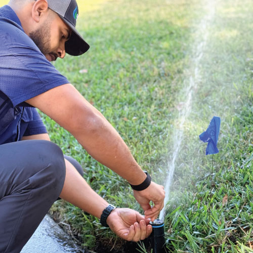 Gallery Image Goterra-2.jpg