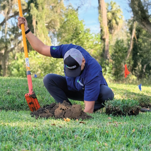 Gallery Image Goterra-4(1).jpg