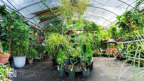 Quality photography = Quality content