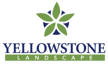 Yellowstone Landscape