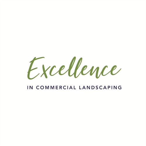 Gallery Image Excellence.jpg