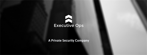 CyberSecurity Service Provider