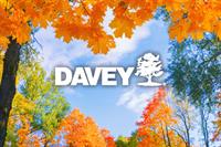 The Davey Tree Expert Company