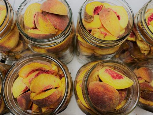 Freeze Dried Peaches Freeze Dried Peaches