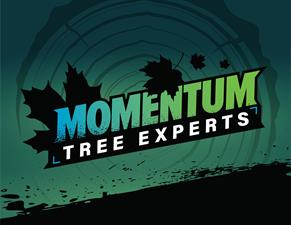 Momentum Tree Experts