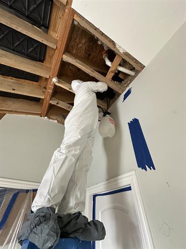 Mold Remediation