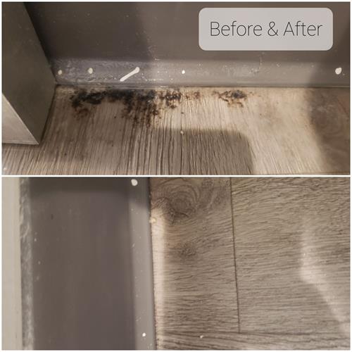 Gallery Image 20251102_151732.jpg