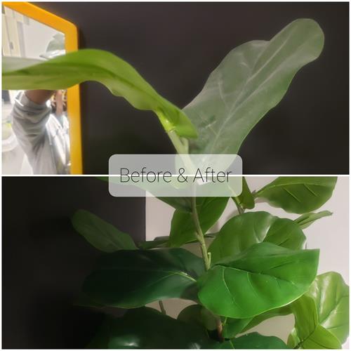 Gallery Image 20251102_152138.jpg