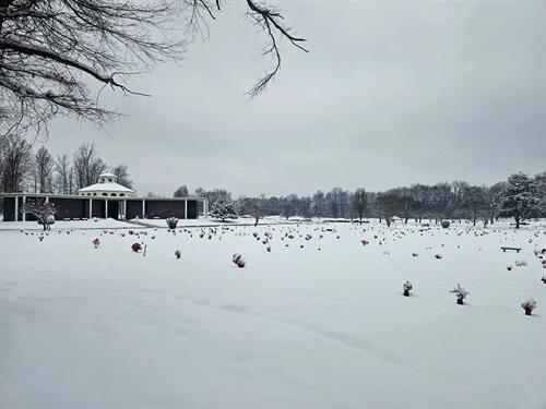 Snow on the grounds