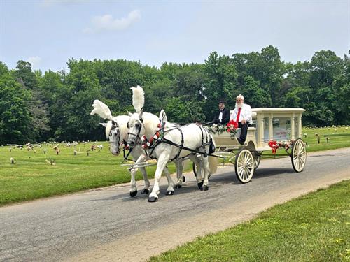 Horse and Carriage 