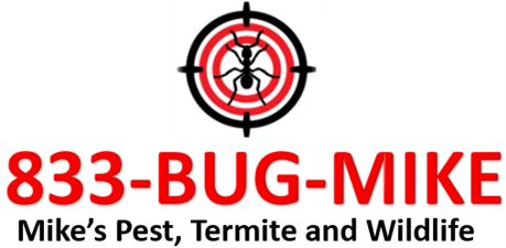 Mike's Pest, Termite and Wildlife