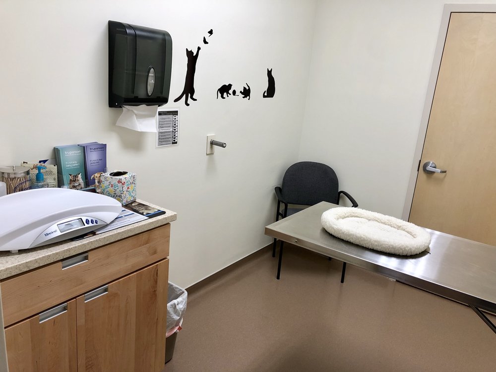 Our comfy Exam rooms! 