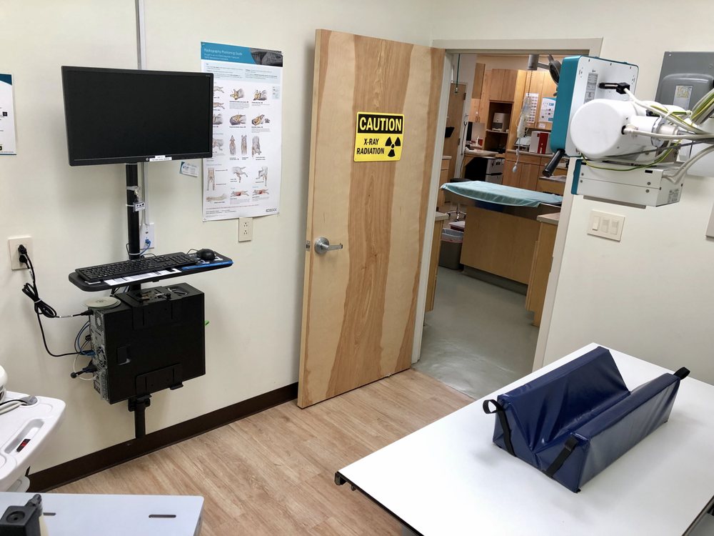 Our X ray area!