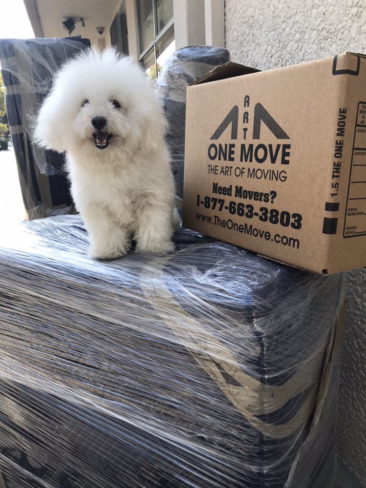 Care you can see in every step.