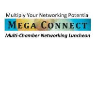 Mega Connect Luncheon 2/11/2020