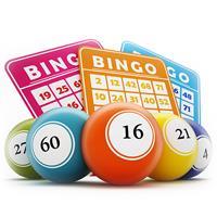 Bingo! - CANCELLED
