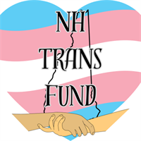NH Trans Fund - TGNH Fund, Inc.