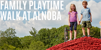 Family Playtime: Walk at Alnoba
