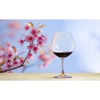 Trends Gift Gallery & Wine Loft - Easter Wine Tasting with KJ 3-29-24