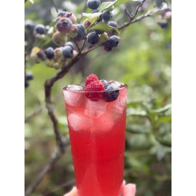 Soju Shandy