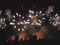 Independence Day Buffet & Fireworks On The Manatee River