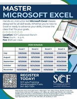 EXCEL - LEVEL 3 - HANDS-ON CLASSES at SCF