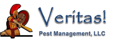 Veritas PM