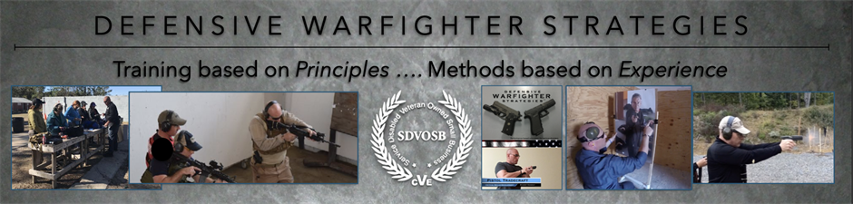 Defensive Warfighter Strategies, LLC Defensive Warfighter Strategies, LLC