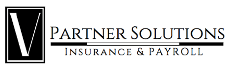 V Partner Solutions, LLC
