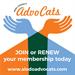 Aledo Children's AdvoCats Muffins and Mimosas
