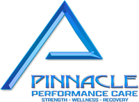 Pinnacle Performance Care Grand Opening Block Party