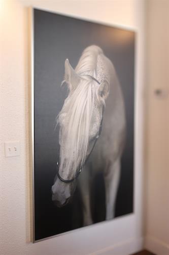 Gallery Image GLAS_13.jpg