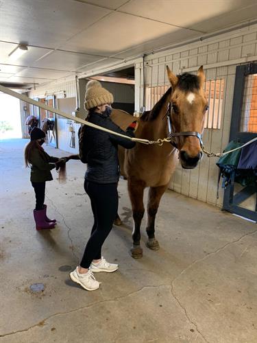 Gallery Image Volunteer_with_horse.jpg