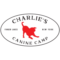 Charlie's Canine Camp, LLC 