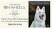Wine & Design On Wheels: Paint Your Pet Fundraiser for Schuyler Humane Society