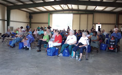 Gallery Image HearingLife_SEnior_Picnic_Senior_Group.jpg